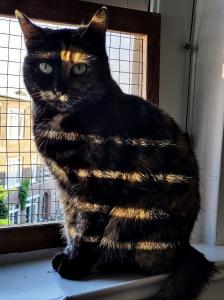 Frans 01 Bibi in de avondzon